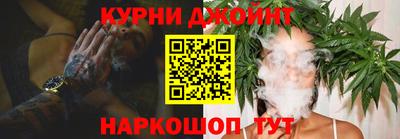 молекула духа Новозыбков