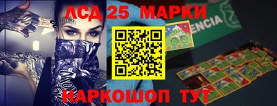 молекула духа Новозыбков