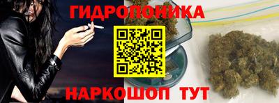 молекула духа Новозыбков
