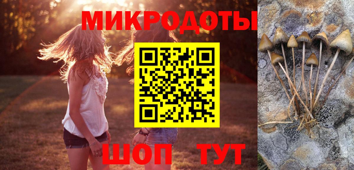 Галлюциногенные грибы GOLDEN TEACHER  Вход с VPN  наркота  Тихвин  Псилоцибиновые грибы мицелий 