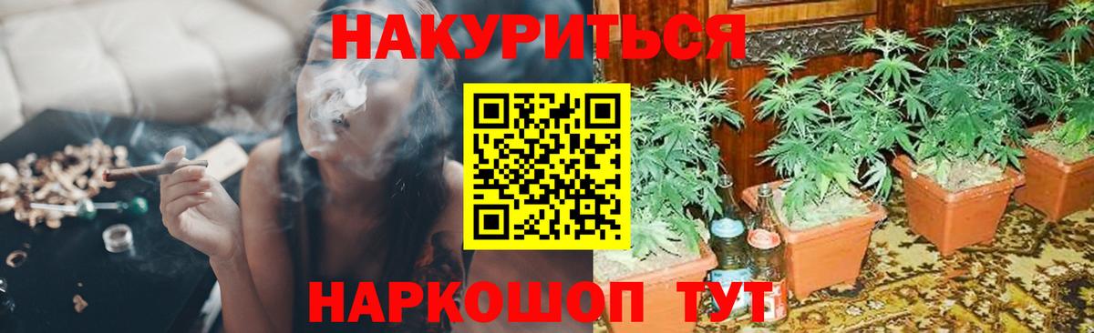 Тихвин  Марихуана Bruce Banner  Шишки марихуана план  Каннабис гибрид  Вход с VPN 